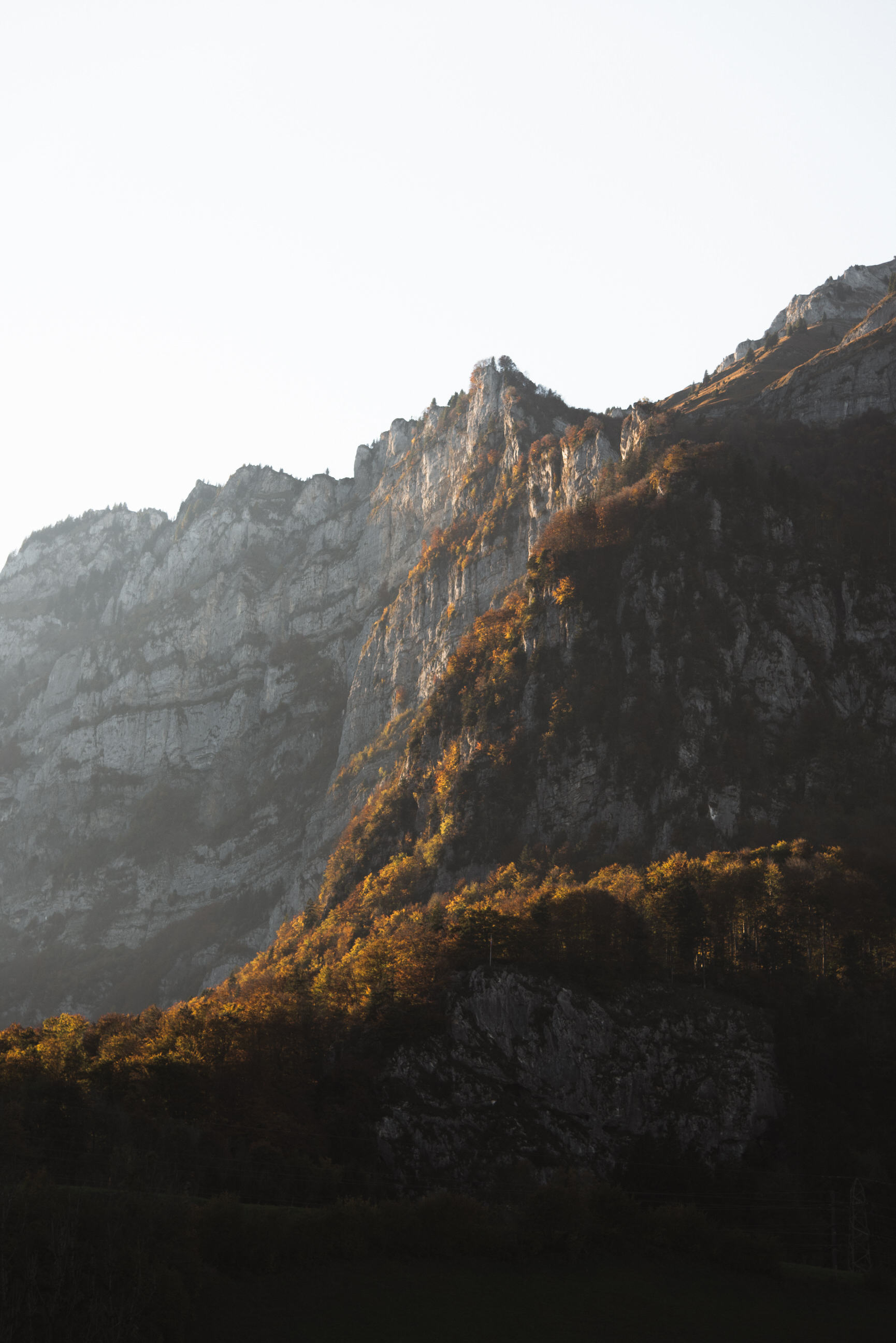 photo of 2017 autumn